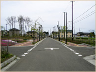 1車線の道路の両側に歩道が整備され、左側は公園に面しており、右側の歩道には植栽に背の低い木が植えられている直線の道路を写した写真