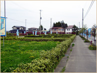 道路の左奥に住宅が建ち並び、手前に草が生えている均等に区画整備された分譲地の写真
