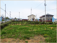 道路の右側奥に住宅が建ち並び、周囲に宅地分譲中と書かれたのぼり旗が立っているなかに草が生えている区画整備された分譲地の写真