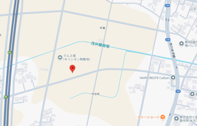 水沢字外谷地19番の位置図