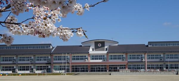 手前に咲く桜の花の奥にグラウンドがあり、その奥には校舎が横に並んでいる茶色の屋根に白い壁には校舎の窓が並び、エアコン室外機が等間隔に並んでいる前沢小学校の外観を写した写真
