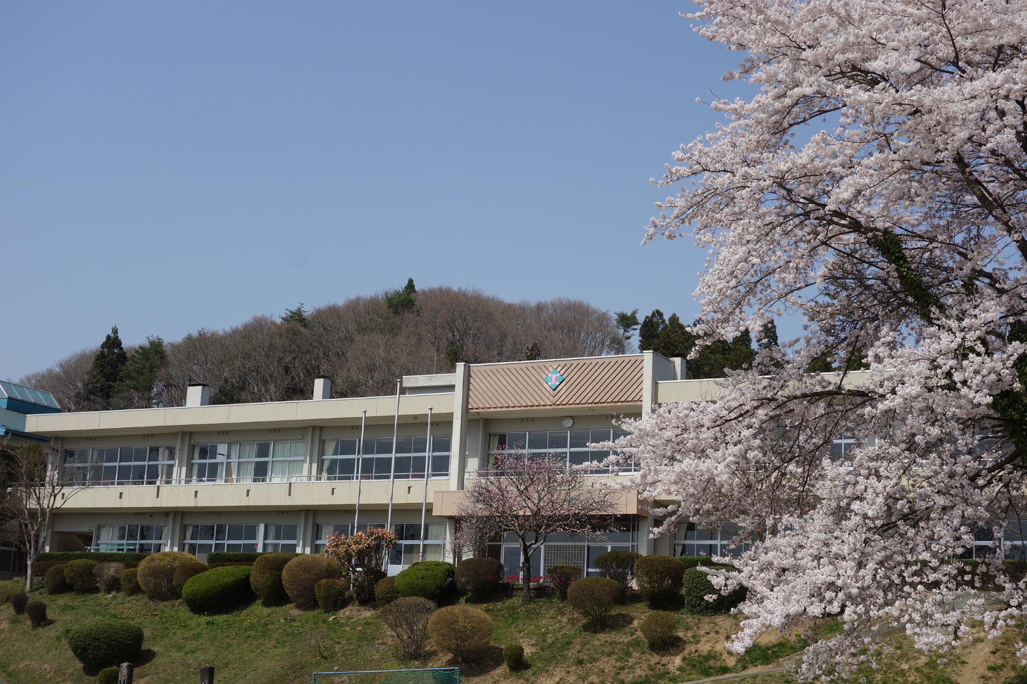 きれいに手入れされた植栽と二階建ての校舎、右側に写りこんだ満開の桜の花の写真