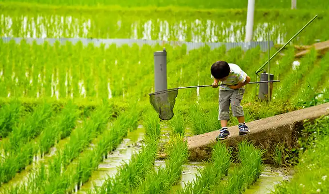 子育てするなら奥州市で