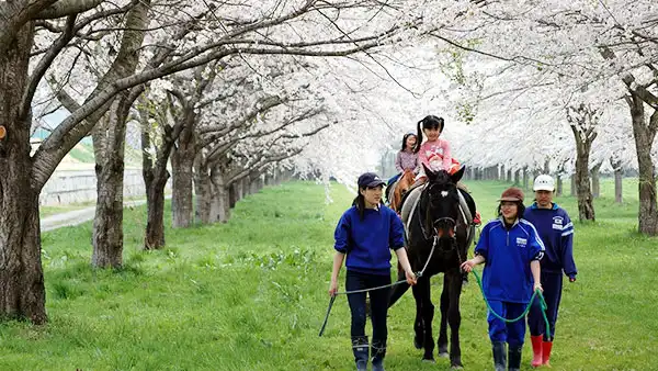 水沢競馬場