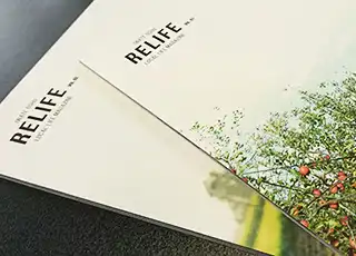 UIターン情報誌「RELIFE」