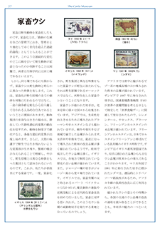 家畜ウシ