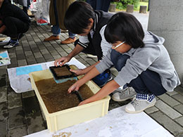 牛のうんちから紙をつくろう！