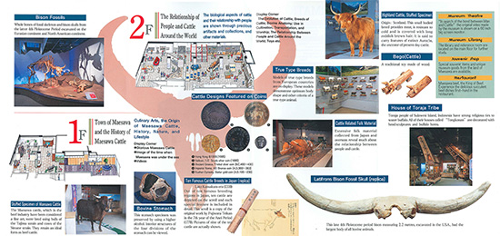 Cattle Museum English Pamphlet