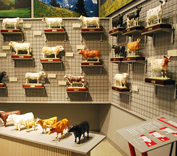 The Cattle Museum