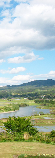 The Cattle Museum